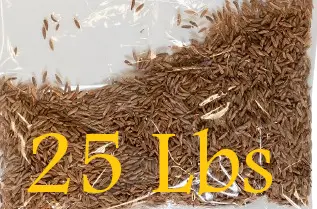 25lbs COMINO ENTERO mpRRH