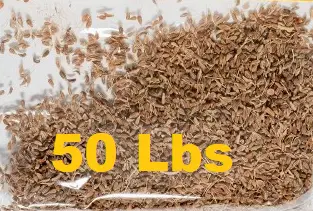 50Lbs Anis Grano / Anise Seed Whole mpBCG
