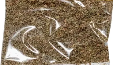 25Lbs Mejorana mpBHS