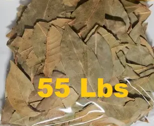 [55-MP116] 55lbs HOJA DE LAUREL / Bay Leaves Whole mpAAG