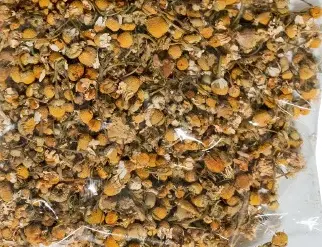 [27.5-MP115] 27.5Lbs Flor de Manzanilla / Chamomile flower mpAAS