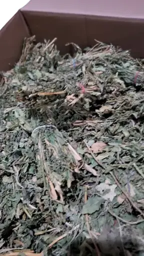 [10-MP165] 10Lbs Epazote En Rama mpAGS