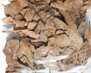 [8-MP173] 8Lbs HOJA DE GUAYABA / Guava Leaves mpATB