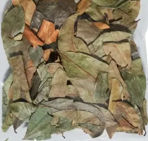 [15-MP174] 15Lbs Hoja de Guanabana / Soursop Leaf mpATH