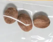 [55-MP234] 55Lbs Nuez Moscada Entera / Nutmeg Whole mpRBH